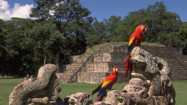 Algunas razones para explorar Guatemala